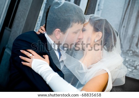 a bridegroom and his bride kiss, under bridal veil