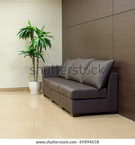brown leather sofa and palm aside in hall interior