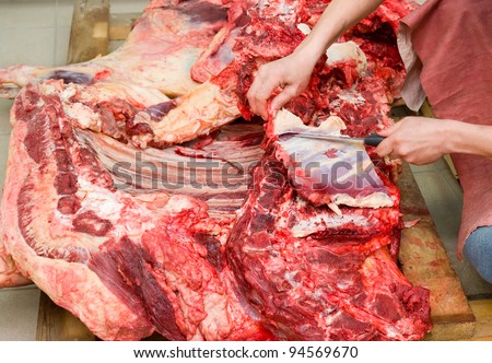 a butcher cuts a fresh beef carcass