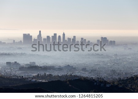 Morning fog cityscape view of downtown Los Angeles from popular Griffith Park near Hollywood California.
