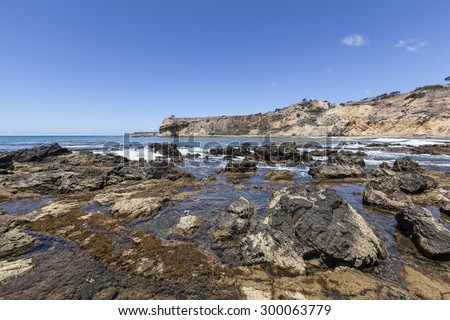 Tidal pools at Abalone Cove in Southern California.