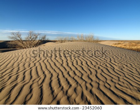 Wind blown ripples on hot New Mexico desert dunes