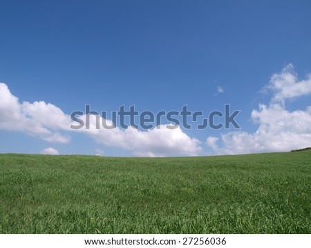 Green grass and a blue California sky on a perfect spring day.