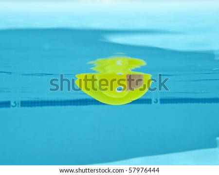 Rubber Duck piers under the surface of a clean swimming pool.