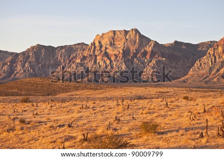 Warm dawn desert light in Nevada\'s Red Rock Conservation Area near Las Vegas.