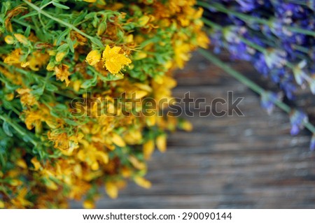 background of lavender and St Johns wort on wooden table. Tutsan