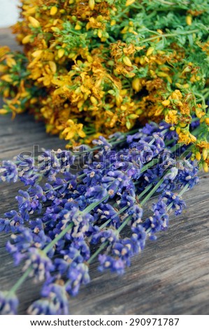 background of lavender and St Johns wort on wooden table. Tutsan