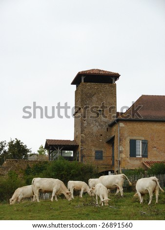 old building with cows