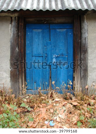 detail of little house with blue wooden door and dried leaves