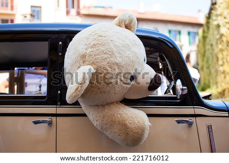 View of teddy bear inside a car