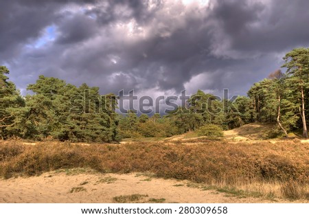 dark clouds over woods landscape in Veluwe, The Netherlands