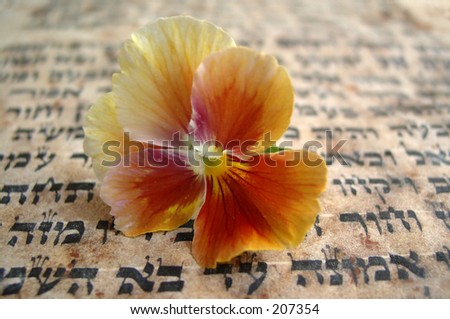 flower on the bible