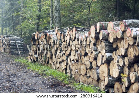 Forest management, A pile of felled trees