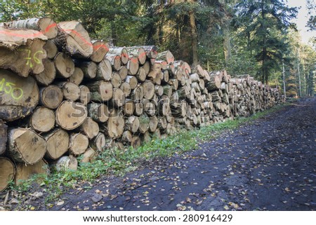 Forest management, A pile of felled trees