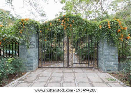 wrought iron gate, a beautiful green garden