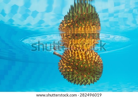 Underwater photography with water surface reflection of tropical spiny fruit durian with an unpleasant smell. Asian backgrounds and exotic natural food of Thailand and Indonesia