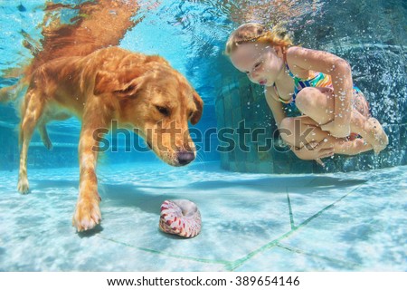 Little child play with fun and train golden labrador retriever puppy in swimming pool - jump and dive underwater to retrieve shell. Active games with family pets and popular dog breeds like companion.