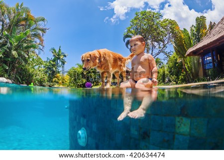 Funny underwater photo of little baby and dog swimming in blue outdoor pool. Children water sports activity and lessons, training dogs, fun games with family pet on summer beach holiday.