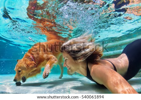 Underwater action. Smiley woman play with fun, training golden retriever puppy in swimming pool - jump and dive. Active water games with family pet, popular dog breed like companion on summer vacation