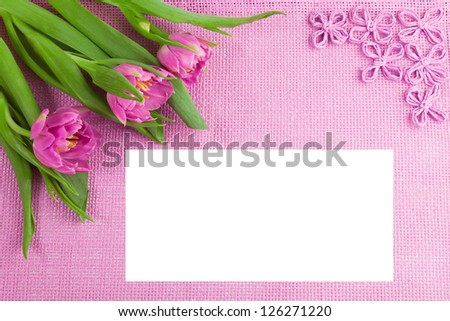Violet background with violet tulips for Your text