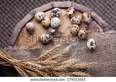 quail eggs and feathers on the aged wooden table