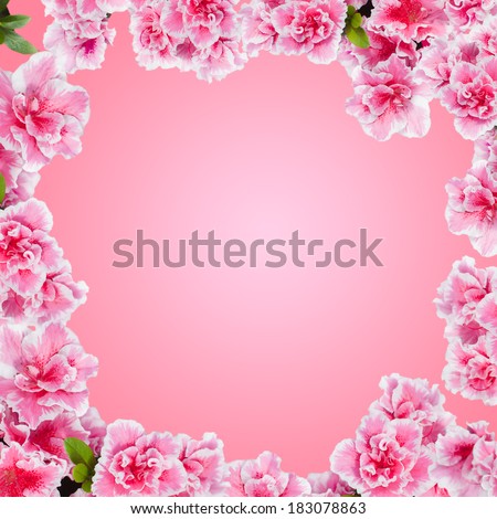 Round floral frame with azalea flowers against pink