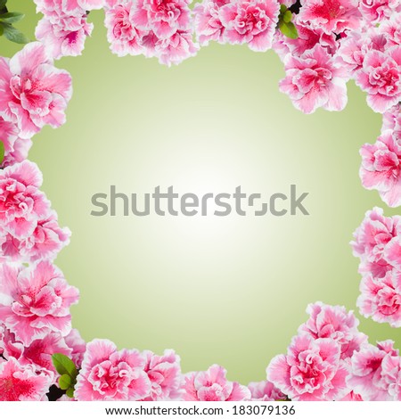 Round floral frame with azalea flowers against green.