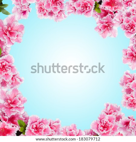 Round floral frame with azalea flowers against blue