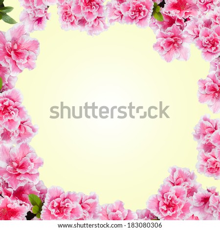 Round floral frame with azalea flowers against yellow