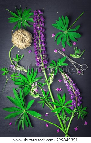 Beautiful purple lupine with leaves, scissors and hemp threads on black background. Top view.