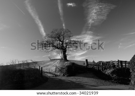 A rural scene of an old farm gate and fields in black and white