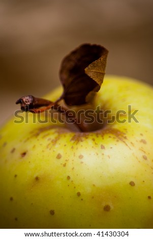A ripe apple with leaf and stem in autumn color backdrop