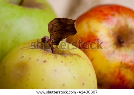 A ripe apple with leaf and stem in autumn color backdrop