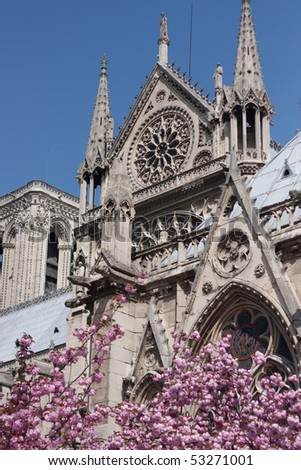 Notre Dame cathedral in Paris with Spring Blossoms