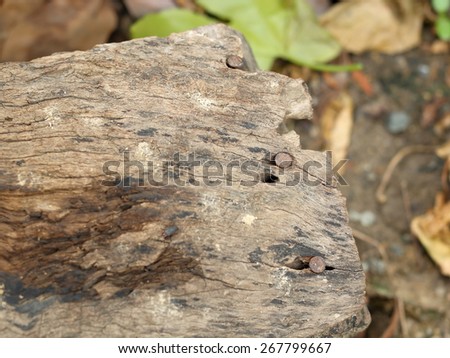 Nail with rush and old wood with blur nature background