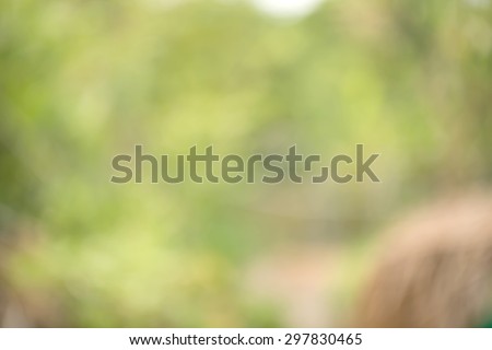 Blurred abstract background nature style bokeh natural and dark shadow