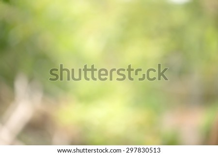 Blurred abstract background nature style bokeh natural and dark shadow