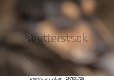 Close up half face of black dog while injury with blurred animal abstract background