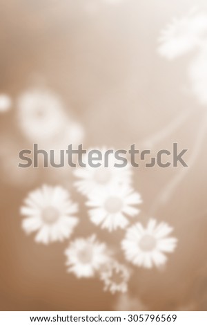 Little white daisy flower blurry sad vintage gradient for sad and hope love concept