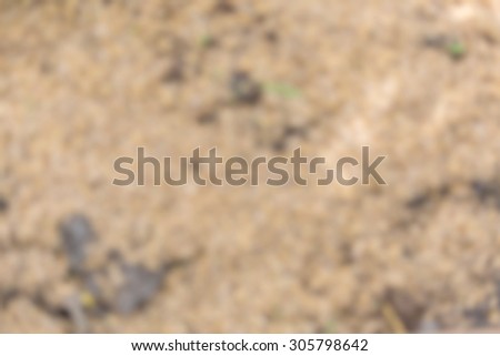 Blurred nature rice husks abstract background sunny day for agriculture pattern design concept
