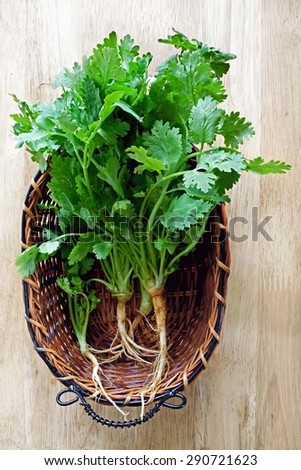 Coriander leaves in a basket