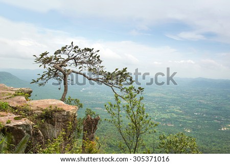 mountain landscape view from pha hum hod in thailand