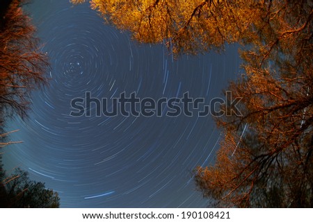 Rotation of the sky around  pole star. Long shutter speed