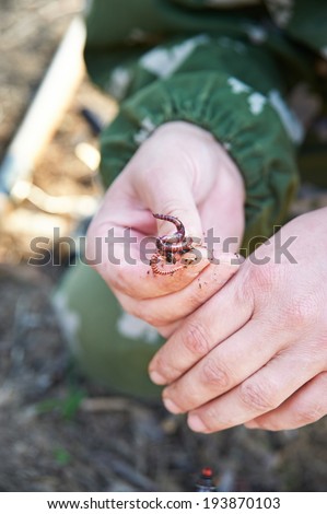 Worm on a hook in his hand fisherman