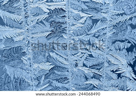 Beautiful frost patterns on glass in winter