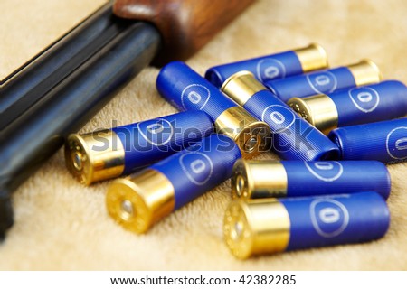 Cartridges for a gun of the hunter