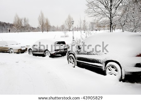 urban yard after heavy snow