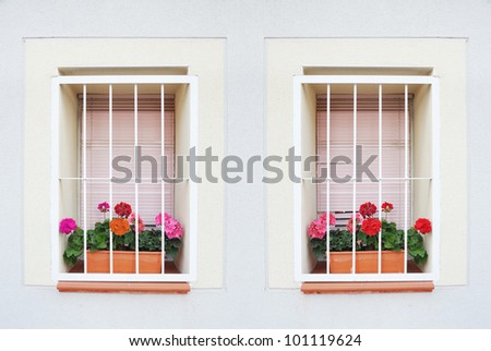 Mediterranean Window with Geranium Flowers and Security Bars in Spain Europe
