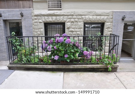 Rhododendron Flowers Brownstone Limestone Residence Building in New York City