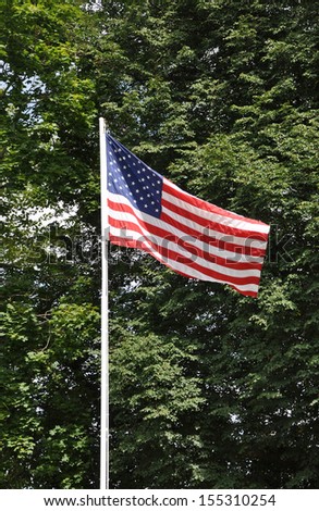 American Flag Pole Sunny Day Maple Tree Leaves